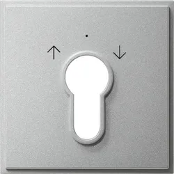 Gira Zentralpl. Schlüssel. alu 066465