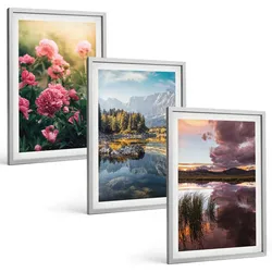 BILDER SET 3er Set - 40x60 cm Silberner Rahmen - Blumengarten Berge Wasser