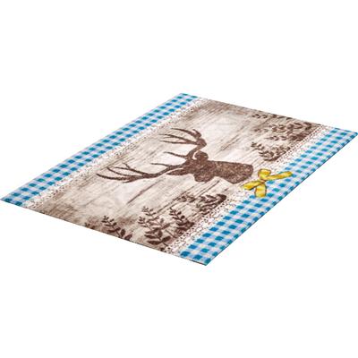 Fußmatte GRUND "Hubertus", braun (braun, blau), B:60cm H:8mm L:85cm, Kunstfaser, Teppiche, Fußmatte, Schmutzfangmatte, In- und Outdoor geeignet, waschbar