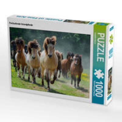 CALVENDO Puzzle Freilaufende Islandpferde 1000 Teile Lege-Größe 64 x 48 cm Foto-Puzzle Bild von Angelika Beuck