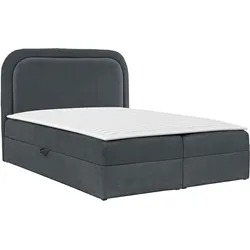 BOXBETT Bonito - H3