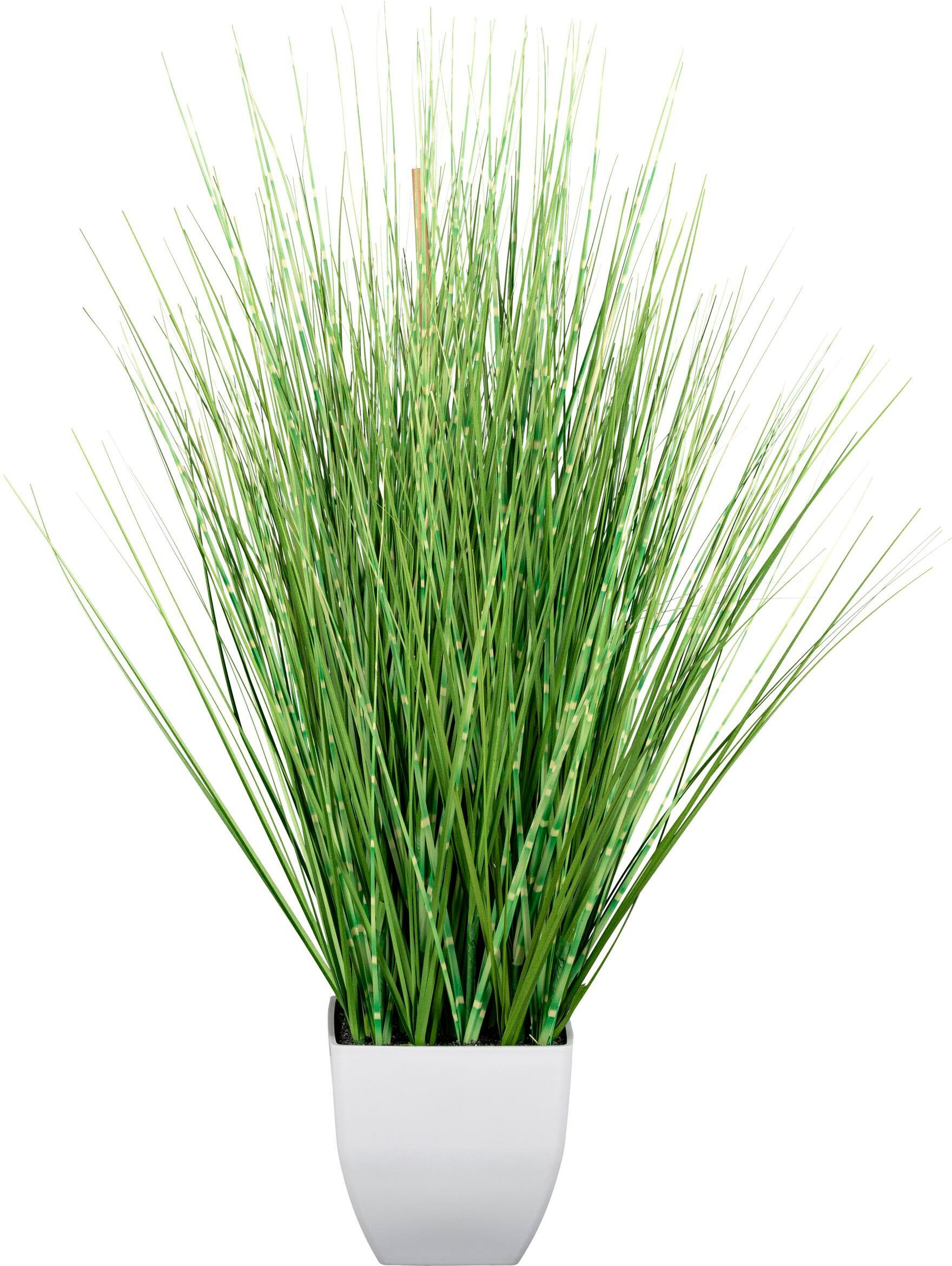 Kunstgras CREATIV GREEN "Grasbusch", grün, H:77cm, Kunststoff, Kunstpflanzen, im weißen Topf