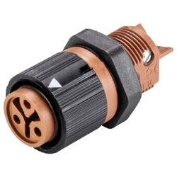Wieland Electric 46.031.5050.4 Geräteanschluss