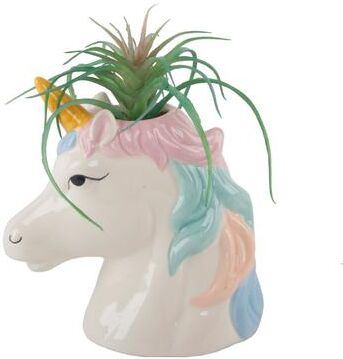 Flora Bunda "Succulent in 6"" Tall Multi Color Ceramic Unicorn Pot - ONE-SIZE"