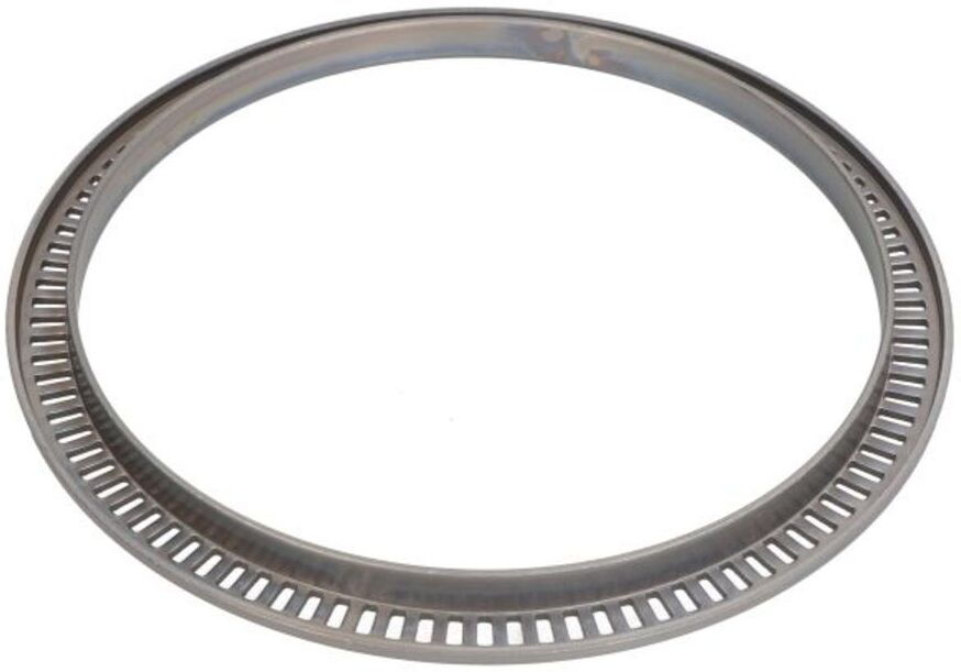ABS-Ring ZF 0501318110ZF