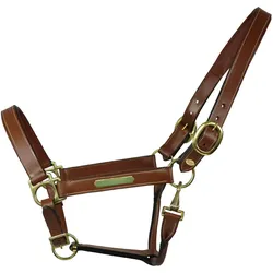EQuest Lederhalfter Inscribe für Pferde, unterlegt - cognac, L - Full/Warmblut