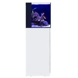 Red Sea Desktop Cube Kombi Aquarium mit Unterschrank weiß