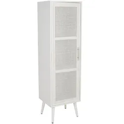 SCHRANK aus Holz und Gitter 41x37x140cm
