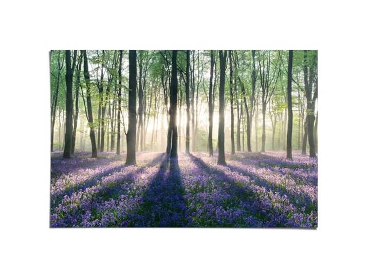 REINDERS Poster, Glockenblumen im Wald, Wohnzimmer, Poster, Wanddeko, Room Decor, Bilderdruckpapier, Lila, 61 x 91,5
