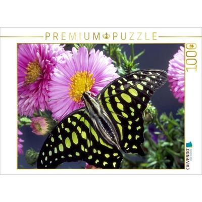 CALVENDO Puzzle Graphium agamemnon (Südostasien) | 1000 Teile Lege-Größe 64x48cm Foto-Puzzle für glückliche Stunden