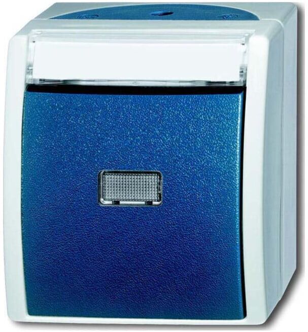 Busch-Jaeger Bouton-poussoir fermant 1 pôle AP 2621 WN-53-201 (2CKA001484A0373)