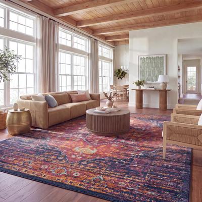 SAFAVIEH Evoke Jacki Vintage Boho Medallion Rug