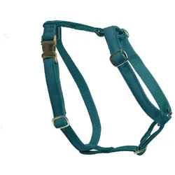 Kentucky Dogwear Hundegeschirr Loop velvet (L, Hund, Allgemein), Halsband + Leine