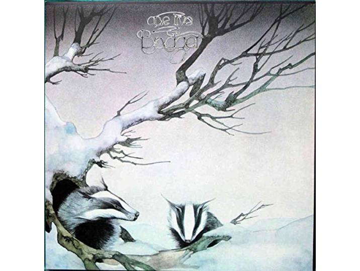 Badger - One Live Badger