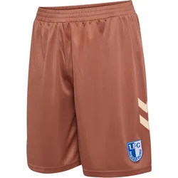 hummel 1. FC Magdeburg Auswärtsshorts 2026/27 8073 - chutney M