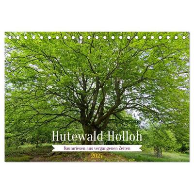 Hutewald Halloh - Baumriesen aus vergangenen Zeiten (Tischkalender 2027 DIN A5 quer), CALVENDO Monatskalender