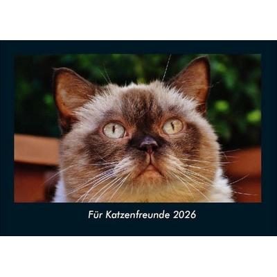 Für Katzenfreunde 2026 Fotokalender DIN A4