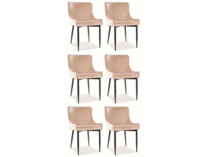 Feldmann-Wohnen Esszimmerstuhl Colin (6 St), beige 6er Set