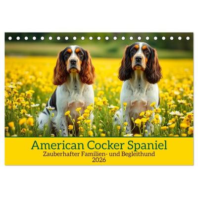 American Cocker Spaniel (Tischkalender 2026 DIN A5 quer), CALVENDO Monatskalender