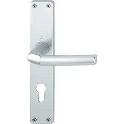 Hoppe Birmingham 1117/202SP Hoppe Türgriff-Langschild-Garnitur BB Alu F1