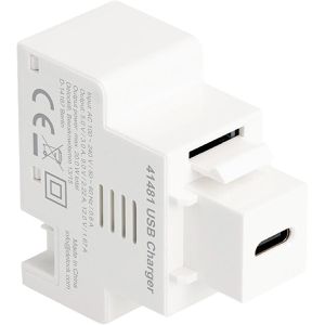 DeLock Keystone-Modul 41481, weiß, USB-C PD, für 2-Pin Terminalblock, Kunststoff