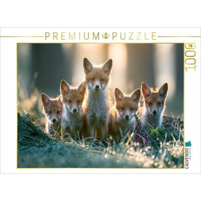 CALVENDO Puzzle Neugierig ins Leben | 1000 Teile Lege-Größe 64 × 48 cm Foto-Puzzle für glückliche Stunden, von , Calvendo Puzzle
