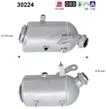 As Katalysator 30224 Für Renault Smart
