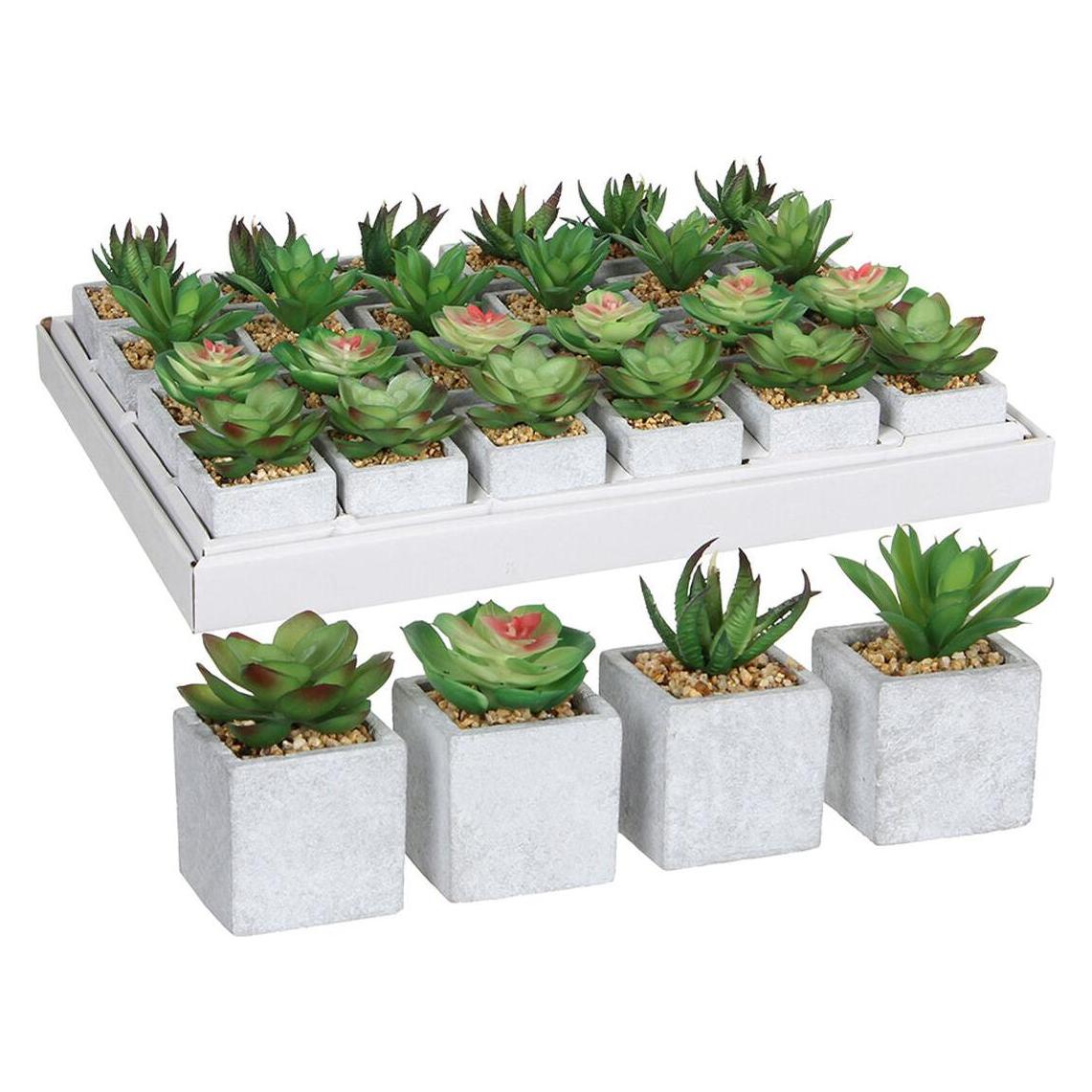 Mica Decorations Sukkulente (8 cm) (45263248)