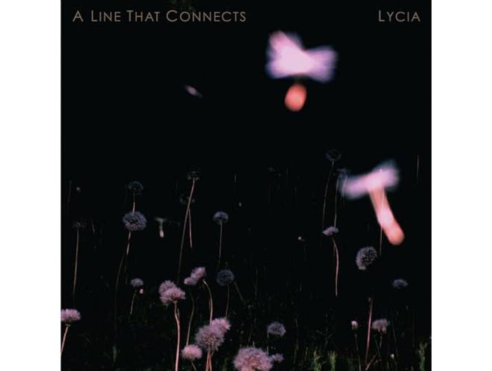 A Line That Connects
