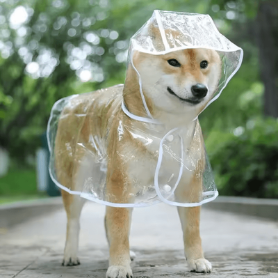 Uplift Curations Transparent Hooded Dog Raincoat Waterproof Pet Rainwear Jacket For Small Dogs & Puppies pink m