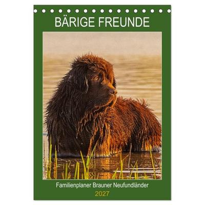 Bärige Freunde - Familienplaner Brauner Neufundländer (Tischkalender 2027 DIN A5 hoch), CALVENDO Monatskalender