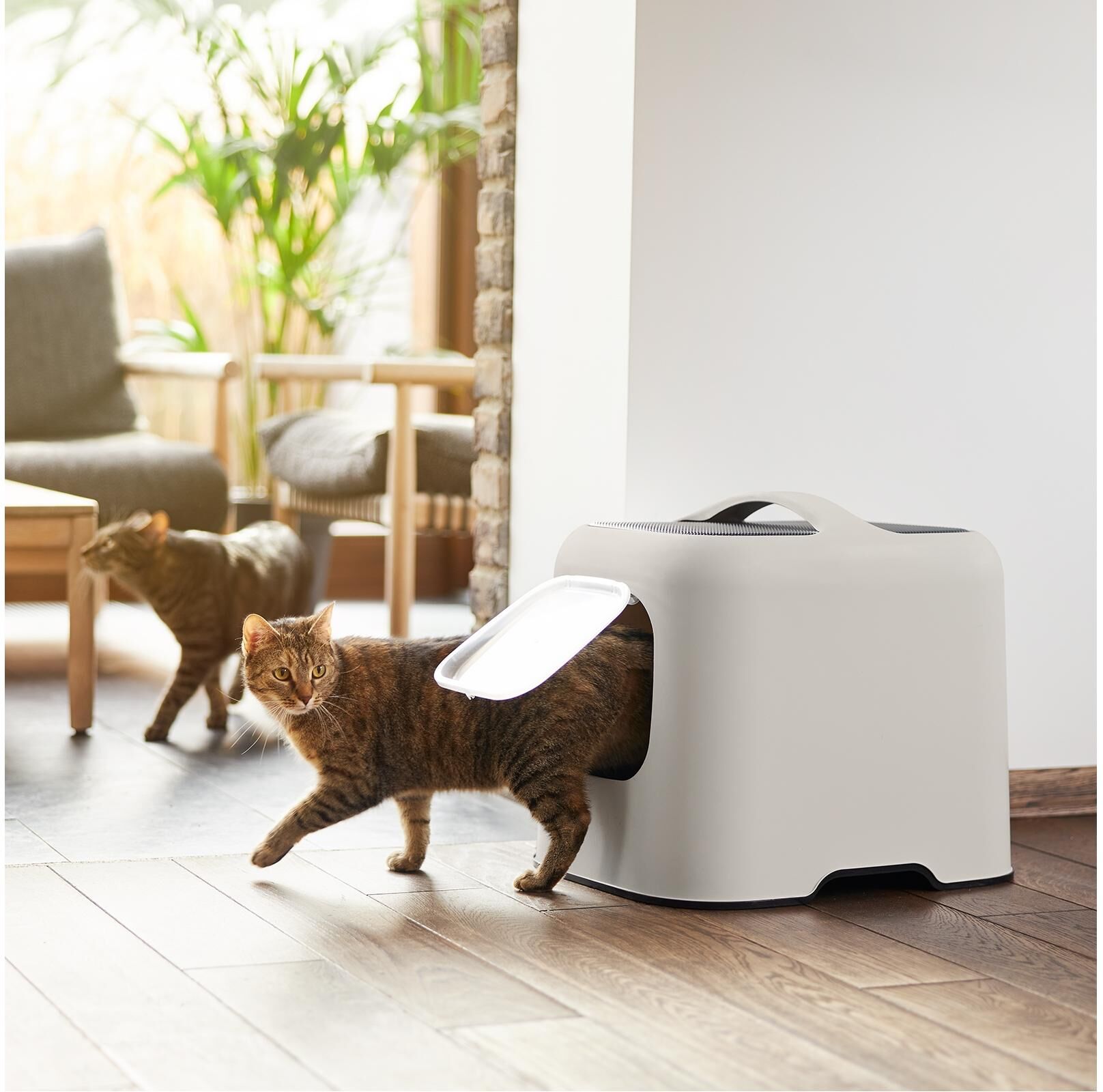 Katzentoilette ROTHO "BIALA", beige (natur), B:35,9cm H:44,3cm L:51cm, Tiertoiletten, Katzentoilette natur B/H/L: 35,9cm x 44,3cm x 51cm