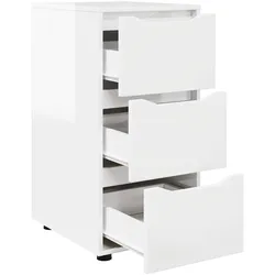 vidaXL, Aktenschrank, Aufbewahrungsschrank (48 x 40 x 81 cm)