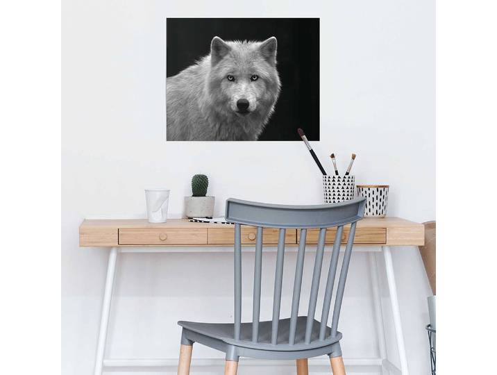 Poster Weißer Wolf Black and White Papier Schwarz 40 x 50cm