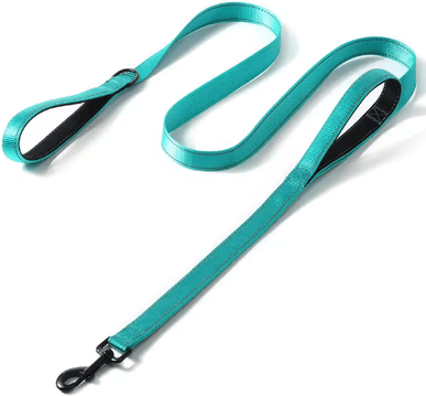 Inspire Picks Heavy Duty Double Handle Dog Leash For Training & Walking turquoise 2.5x150cm