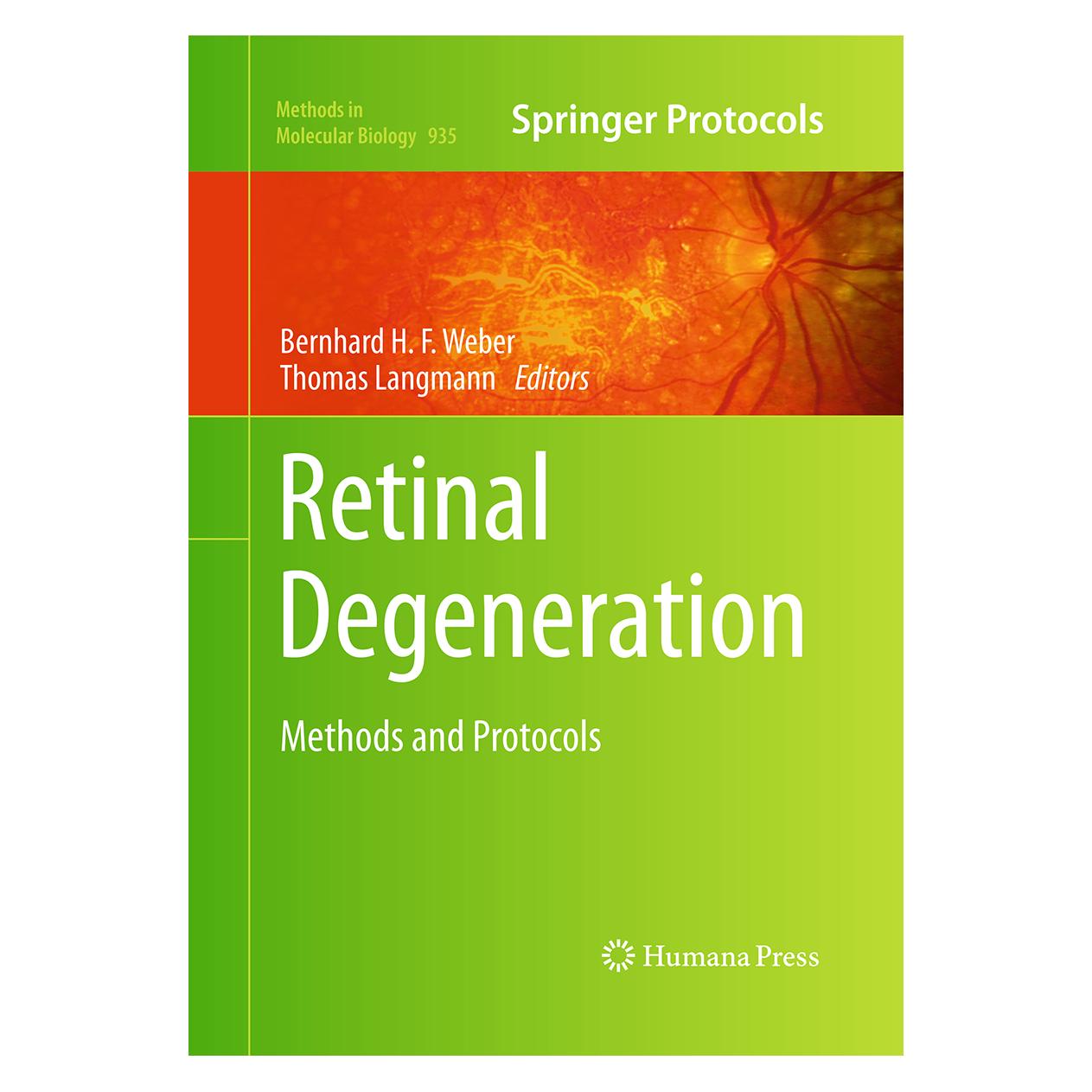 Springer Retinal Degeneration (Englisch, Softcover, Bernhard H.F. Weber, Thomas Langmann) (55964951)