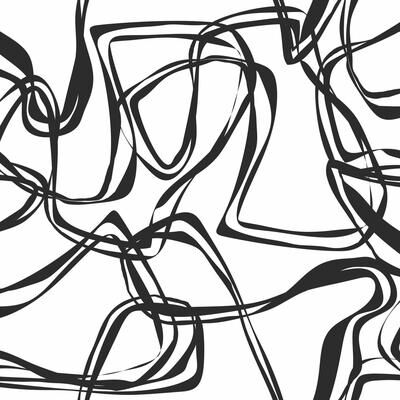 Roommates Jane Dixon Black & White Ribbon Trail Peel and Stick Wallpaper