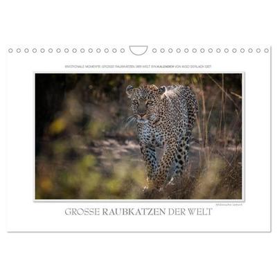 Emotionale Momente: Große Raubkatzen der Welt. (Wandkalender 2027 DIN A4 quer), CALVENDO Monatskalender