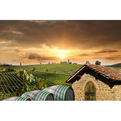 Fototapete PAPERMOON "Wein Felder", bunt, B:2,5m L:1,86m, Vlies, Tapeten