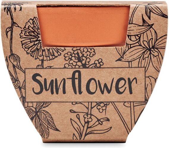 Pot de graines personnalisé tournesol SUNFLOWER Bois