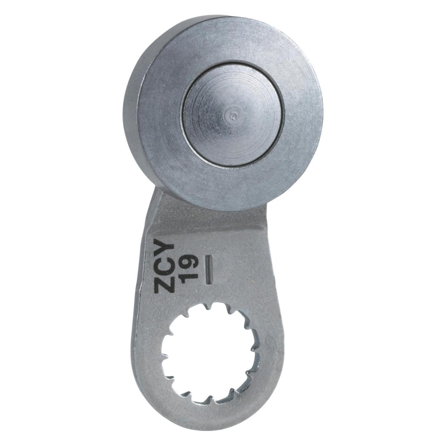 TE Sensors Betätiger (ZCY19)