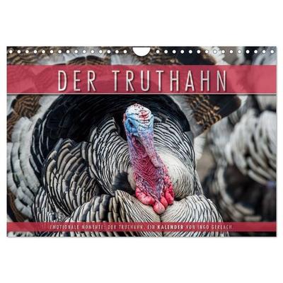 Emotionale Momente: Der Truthahn. (Wandkalender 2027 DIN A4 quer), CALVENDO Monatskalender