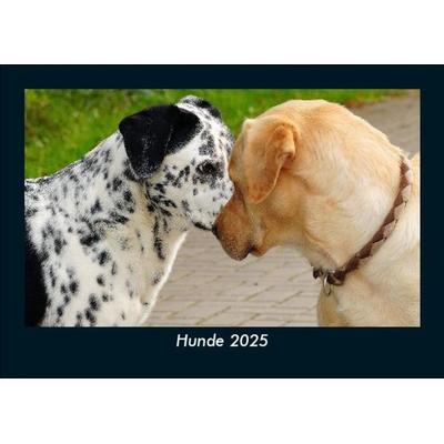 Hunde 2025 Fotokalender DIN A5