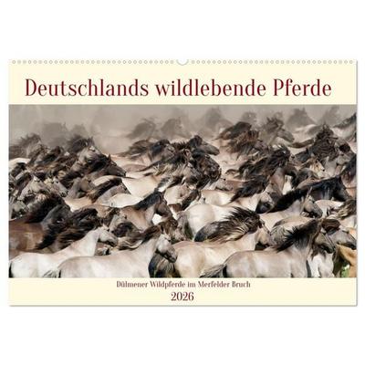 Deutschlands wildlebende Pferde (Wandkalender 2026 DIN A2 quer), CALVENDO Monatskalender