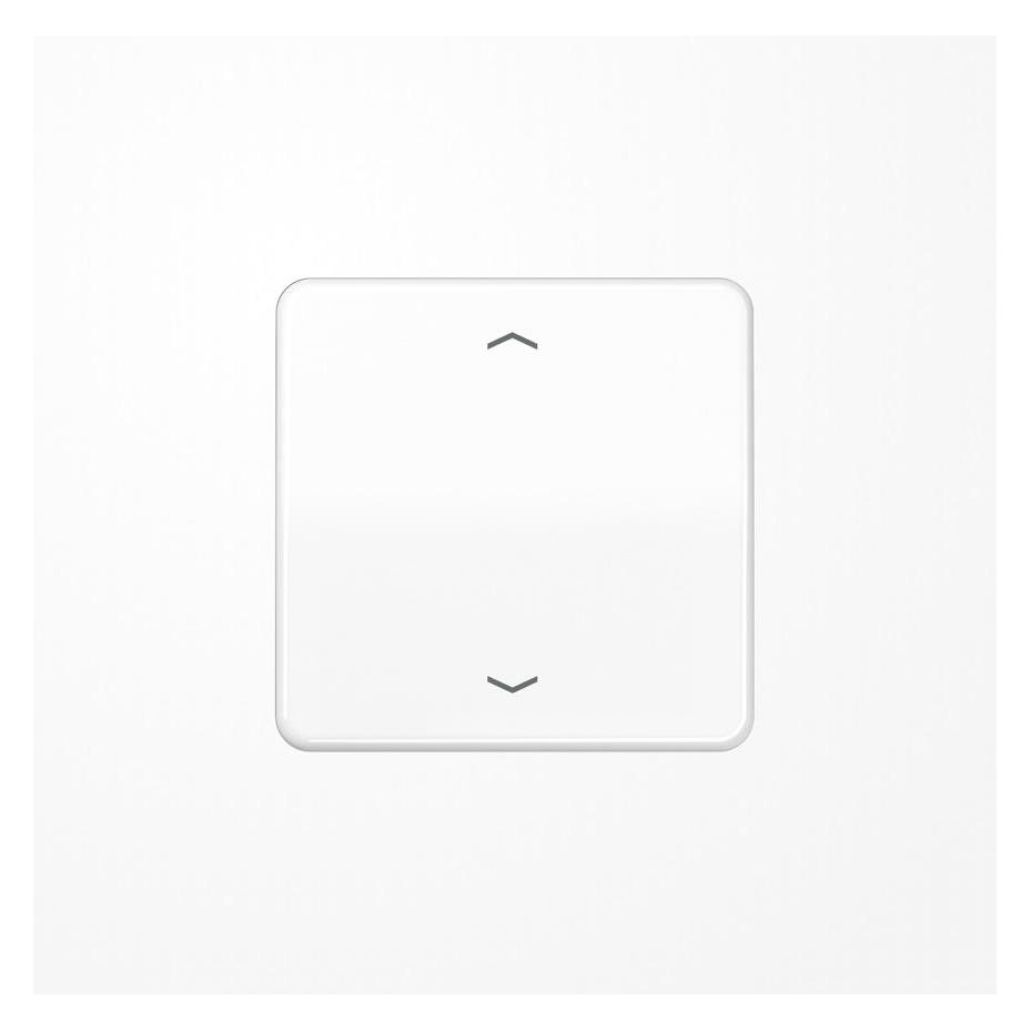 JUNG Bedienelement 1f aws CD m.Abd f.Dimmeins CD1700PWW (CD1700PWW)