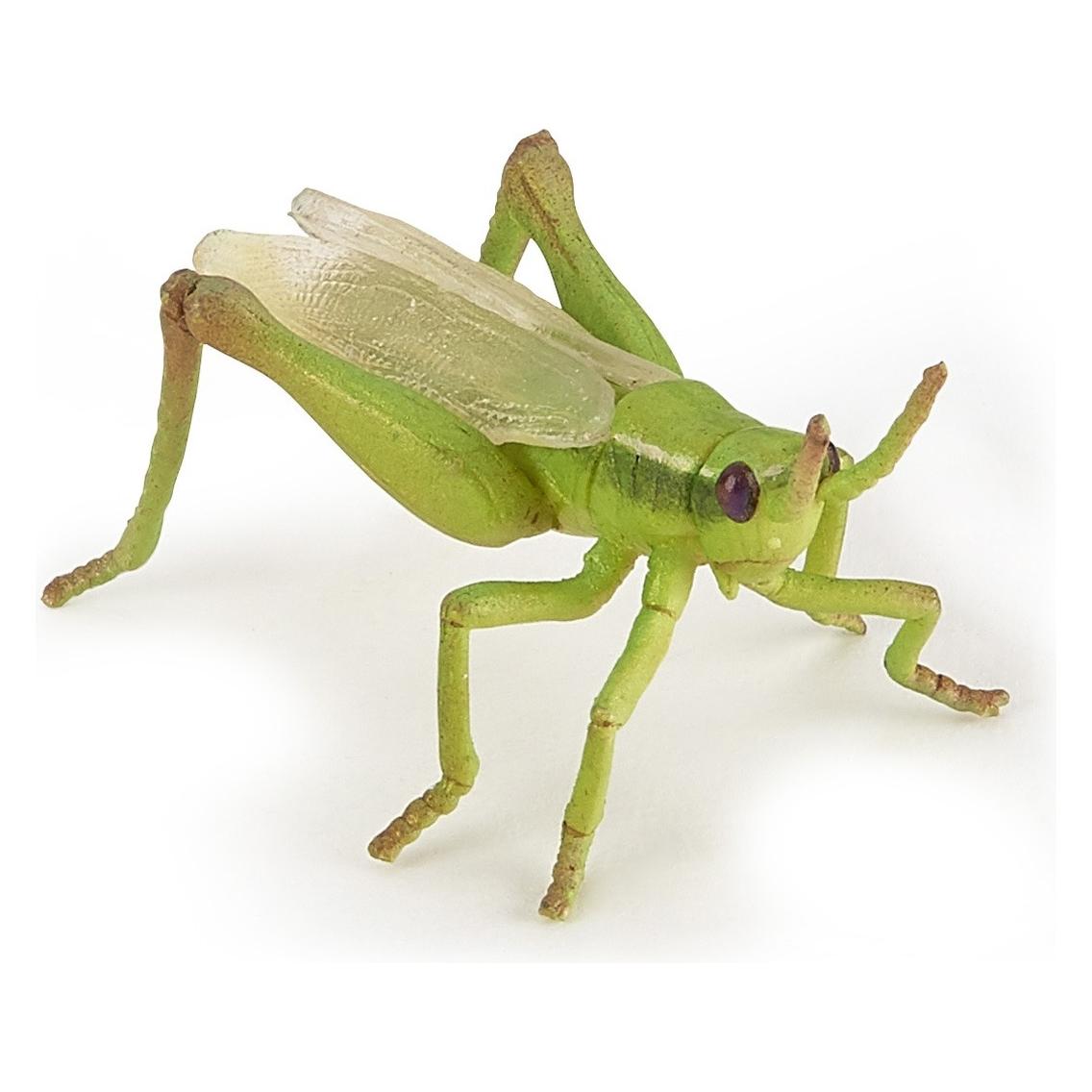 Papo Heuschrecke (50268)