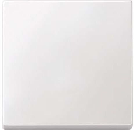 Merten Interrupteur bascule pws 434119 (434119)