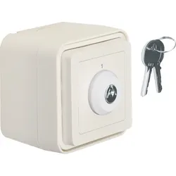 Berker Schlüsselschalter 32713502