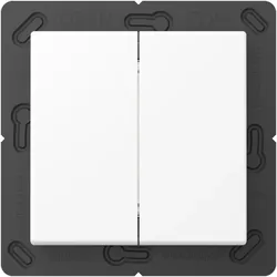 Jung Matter Taster 2f MAT A 595 WWM