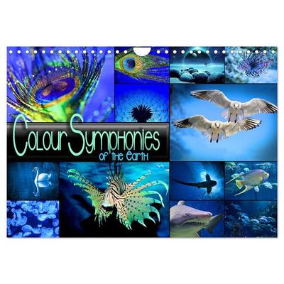 Colour Symphonies of the Earth (Wall Calendar 2026 DIN A4 landscape), CALVENDO 12 Month Wall Calendar